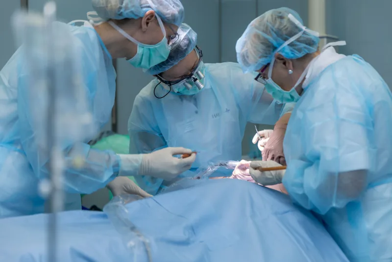 High-quality dental implants from Poland